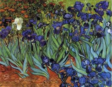  impressionistische Kunst - Iris Vincent van Gogh impressionistische Blumen